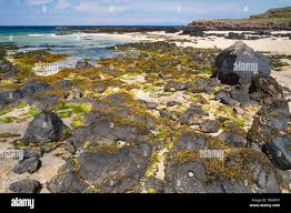 Image result for Scottish Rocks