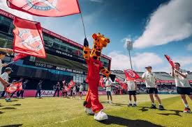 Image result for Trafford Metrovicks Cricket Club