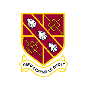 Image result for Chertsey Cricket Club