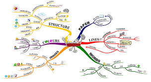 Image result for mindmap
