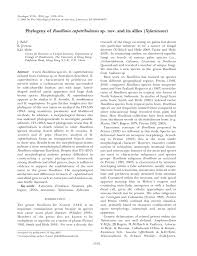 Attēlu rezultāti vaicājumam “Rosellinia desmazieri spores”