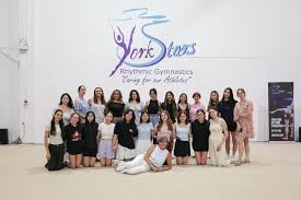 Image result for York University Gymnastics Club