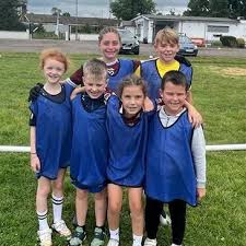 Image result for St Colmcilles Grange G F C