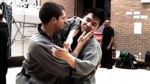 Image result for Shaolin Nam Pai Chuan Kung Fu - Manchester Martial Arts Centre