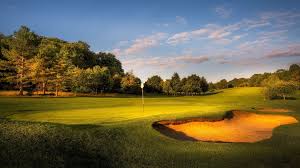Image result for Henley Golf Club