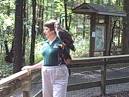 Dentist trains to become a master falconer - Worldnews.