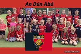 Image result for St Bronagh`s Gaa