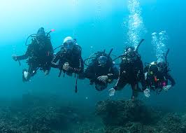 Image result for Divemaster Scuba