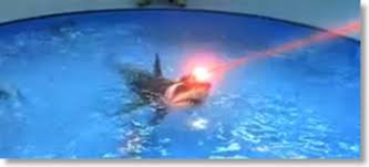 Image result for sharks lasers