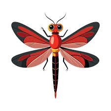 Attēlu rezultāti vaicājumam “Sympetrum sanguineum”