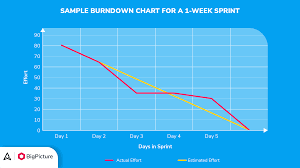 Image result for burnup chart