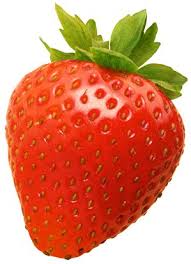 Attēlu rezultāti vaicājumam “Fragaria viridis fruit”