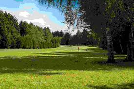 Image result for Enderby Badminton Club