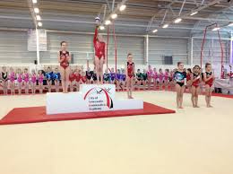 Image result for City Of Newcastle Gymnastics Academy