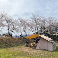 「   厡 @ T C  」の画像検索結果