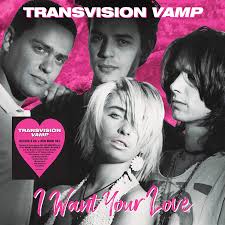 Image result for transvision vamp