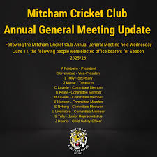 Image result for Mitcham Cricket Club
