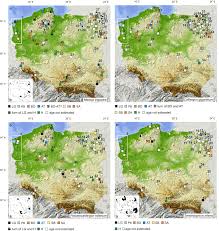Attēlu rezultāti vaicājumam “Calliergon trifarium”