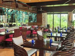 Image result for The Eau Zone