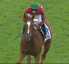 Image result for Bletchingly Badminton Club