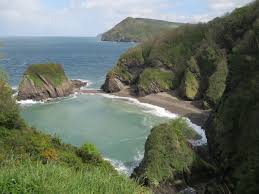 Image result for Ilfracombe & N Devon
