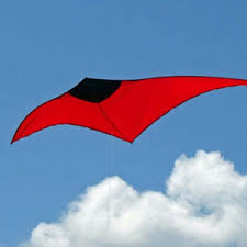 Image result for White Horse Kite Fliers Club