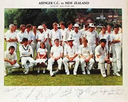 Image result for Abinger Sports Club