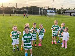 Image result for Ballyhegan Davitts Gaa Club