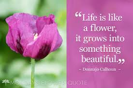 Image result for life flower