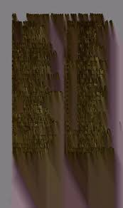 Attēlu rezultāti vaicājumam “Licea pusilla sessile”