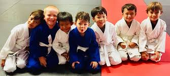 Image result for Halewood Inclusive Judo Club