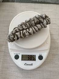 Image result for Cucumaria frondosa