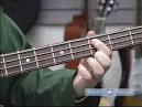 Bass Guitar
