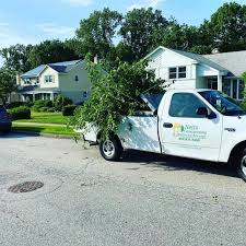 Image result for Netts