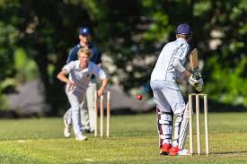 Image result for West Mersea Cricket Club