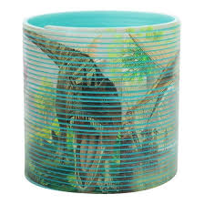 Image result for loopveer