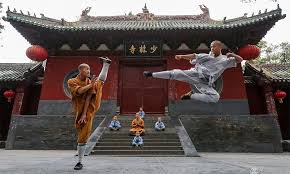 Image result for Shaolin Ancestors kung Fu School