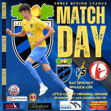 Image result for Ockley Acorns Junior F C