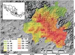 Attēlu rezultāti vaicājumam “Campylophyllum sommerfeltii”