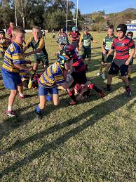 Image result for Tamworth Rugby Union Football Club