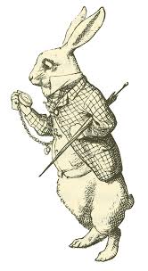 Image result for alice in wonderland rabbit