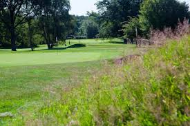 Image result for Dorking Golf Club