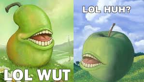 Image result for lol wut