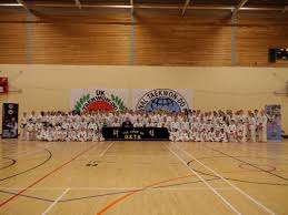 Image result for Wirral UKTA Taekwon-do