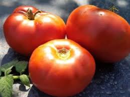 Afbeeldingsresultaat voor marizol purple tomato