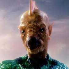 Image result for tomar re