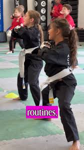 Image result for Action Karate