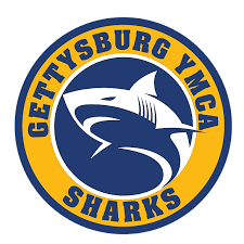 Image result for Sharks Swimming Club Of Mottingham