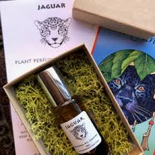 Image result for Talisman Silver 1987 Jaguar