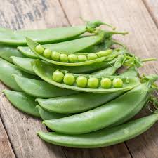 Attēlu rezultāti vaicājumam “Pisum sativum fruit”